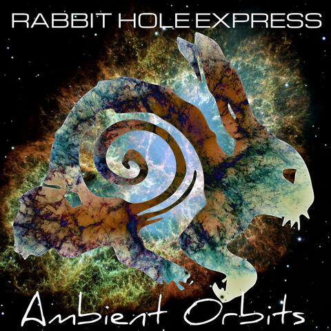 The Rabbit Hole Express