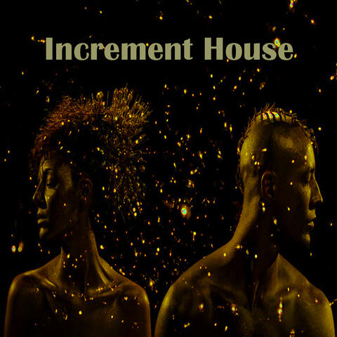 Increment House