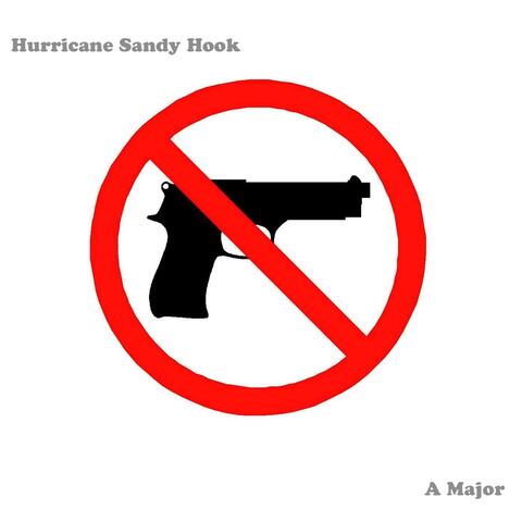 Hurricane Sandy Hook