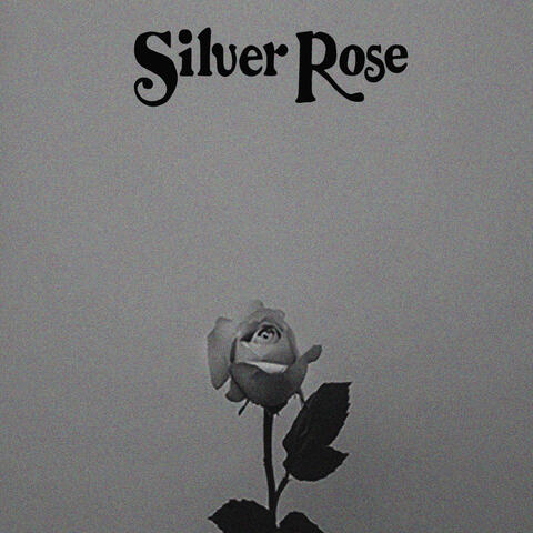 Silver Rose