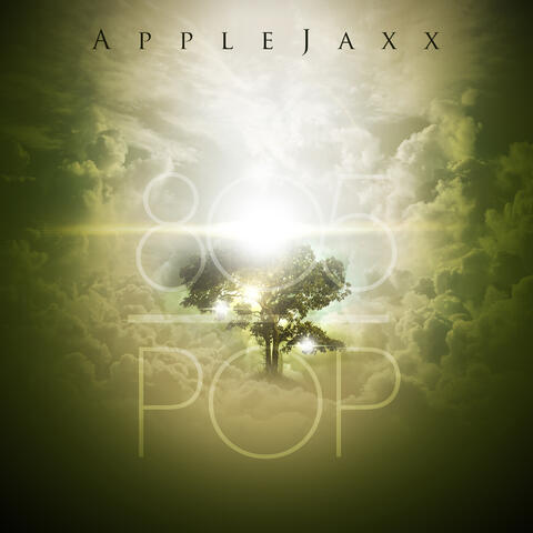 805 P.O.P.