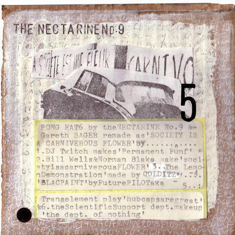 The Nectarine No.9
