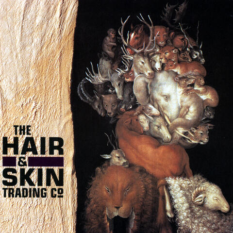 The Hair & Skin Trading Company