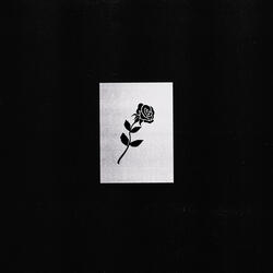 Ten Days of Falling