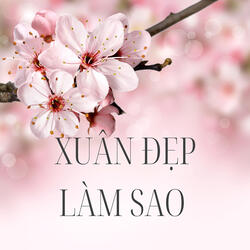 Vui Tết Miệt Vườn