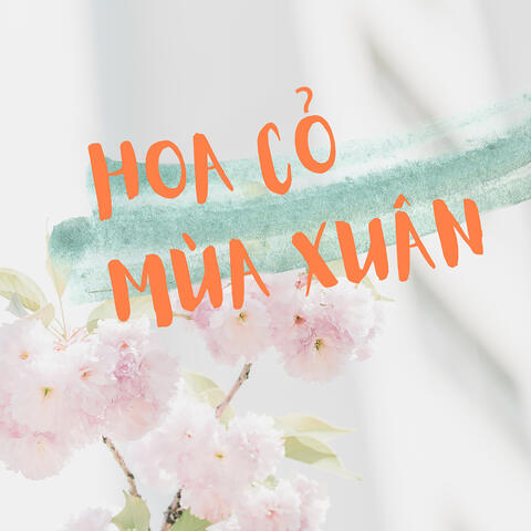 Hoa Cỏ Mùa Xuân