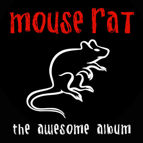 Mouse Rat