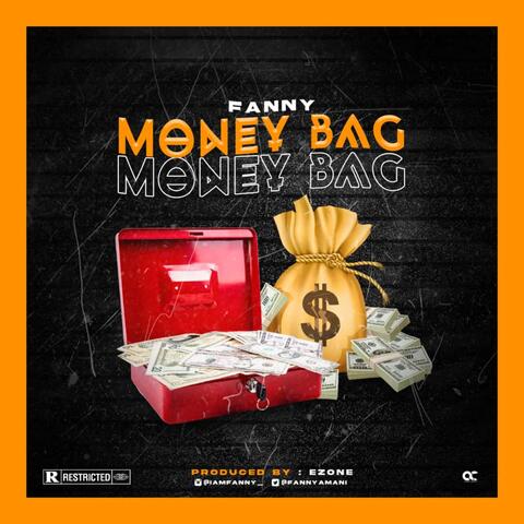 Money Bag