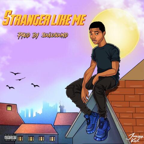 Stranger Like Me