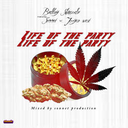 Life Of The Party