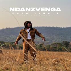 Ndanzvenga