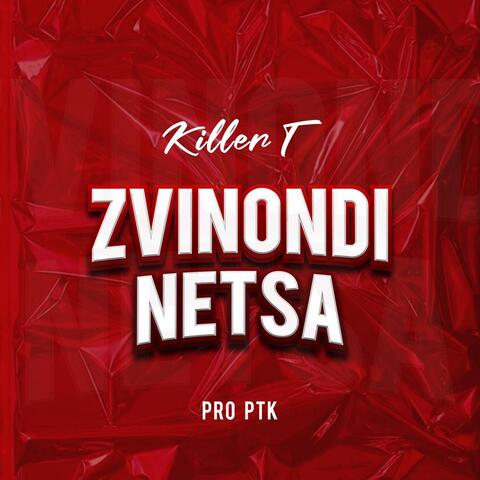 Zvinondinetsa