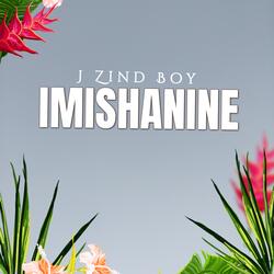 Imishanine