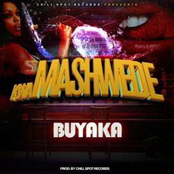 KwaMashwede