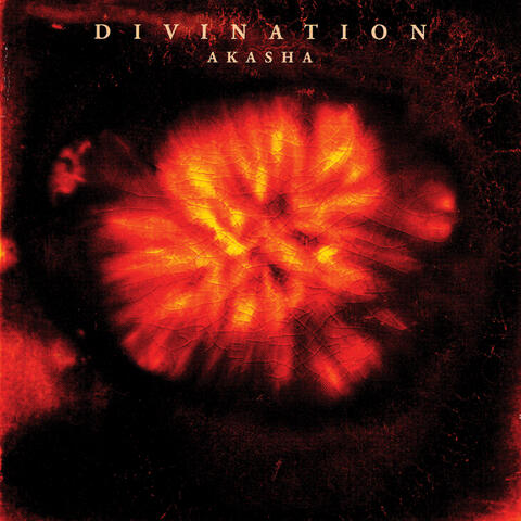 Divination