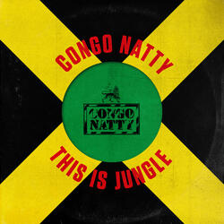 Jah Is My Guide
