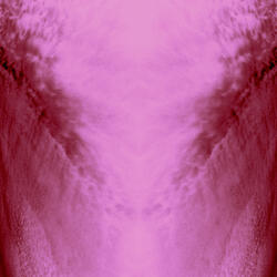 Raw Spectacle