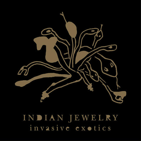 Invasive Exotics
