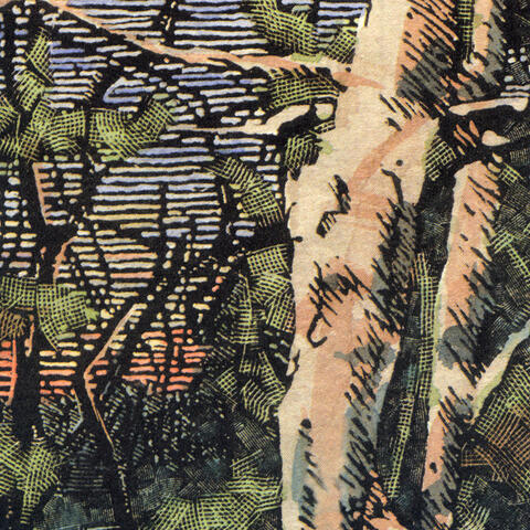 Asleep Many Years In the Wood