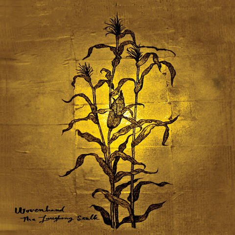 The Laughing Stalk