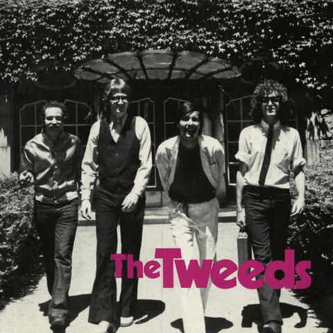 I Need That Record: The Tweeds Anthology