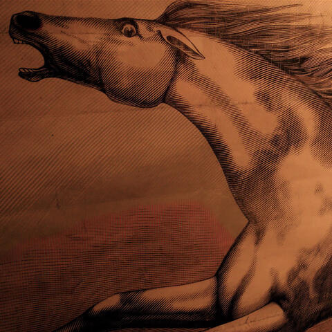 Mare