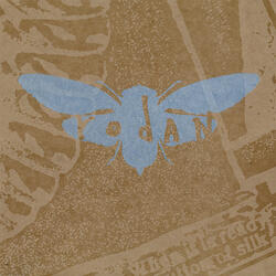 Big Things, Small Things / Martin (40 Watt Club, Athens, GA - bonus track)