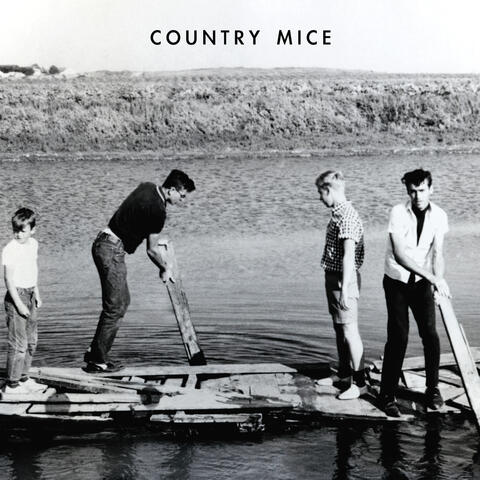 Country Mice