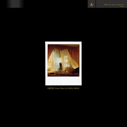 While Vermeer Was Sleeping