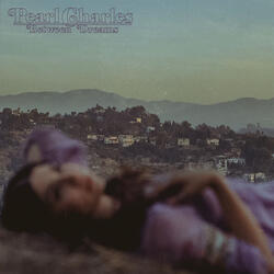Sleepless Dreamer