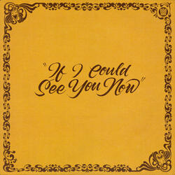 If I Could See You Now