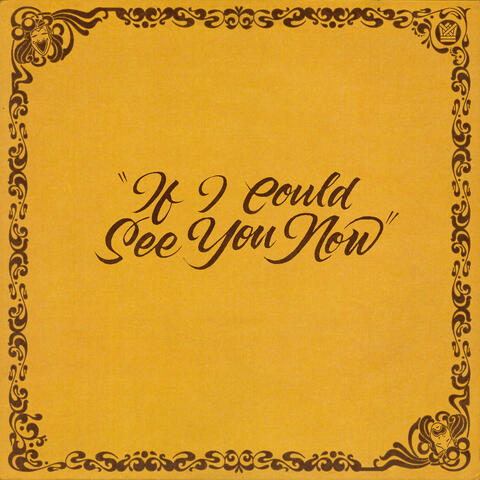If I Could See You Now