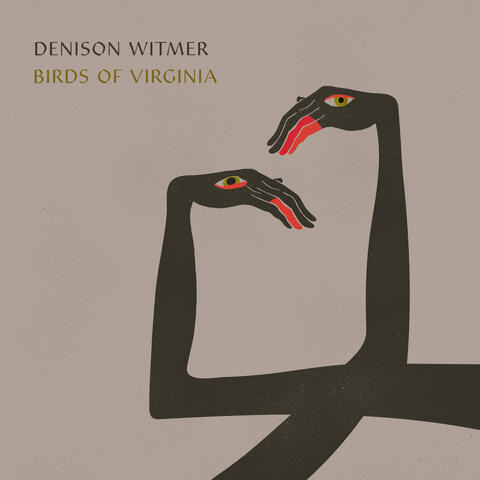 Birds of Virginia