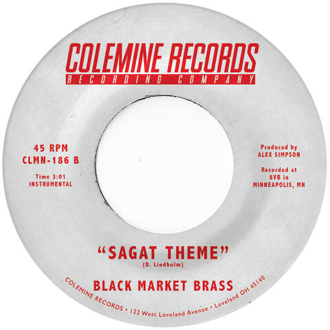 Sagat Theme