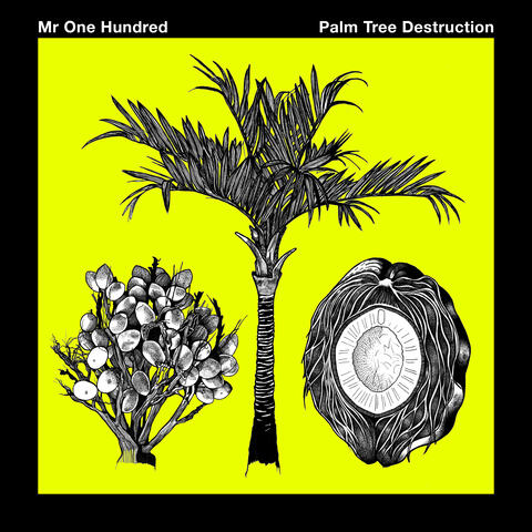Palm Tree Destruction