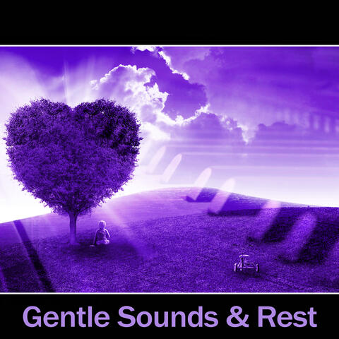 Gentle Sounds & Rest – Classical Songs to Sleep, Nice Evening with Classical Composers, Songs to Help Your Sleep