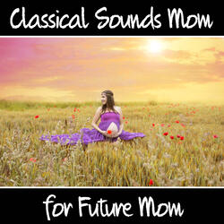 Serenade No. 11 in E-Flat Major, K. 375: III. Adagio