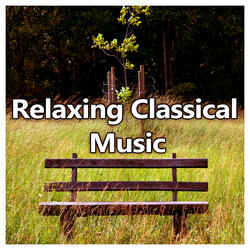 Piano Sonata No. 14 in C-Sharp Minor, Op. 27, No. 2 ”Moonlight Sonata”: I. Adagio sostenuto