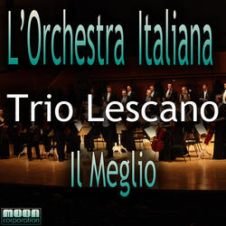 Arriva tazio