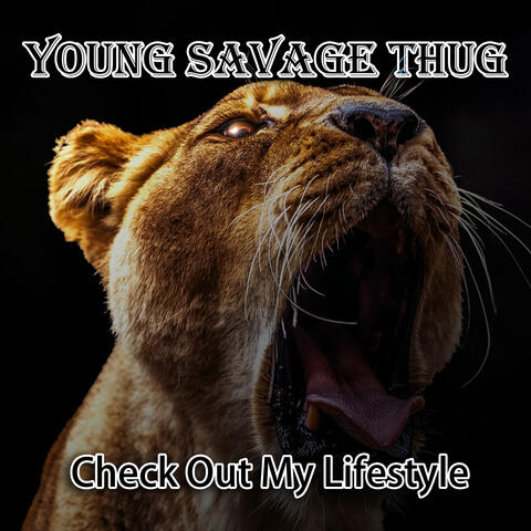 Check Out My Lifestyle