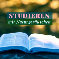 Überprüfen die Lektion