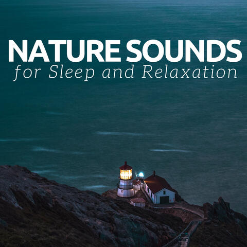 Nature Sounds for Sleep and Relaxation - Calm Music Piano