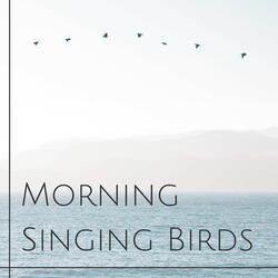 Morning Singing Birds