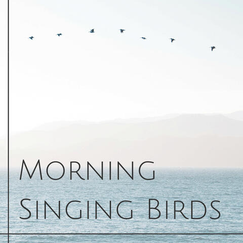 Morning Singing Birds - Pure Lovely Nature Sounds for Wellness, Good Morning Rountine