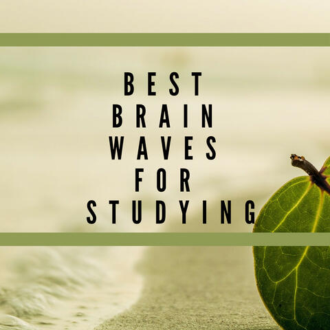 Best Brain Waves for Studying – Music to Increase Memory Power