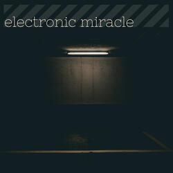 Electronic Miracle