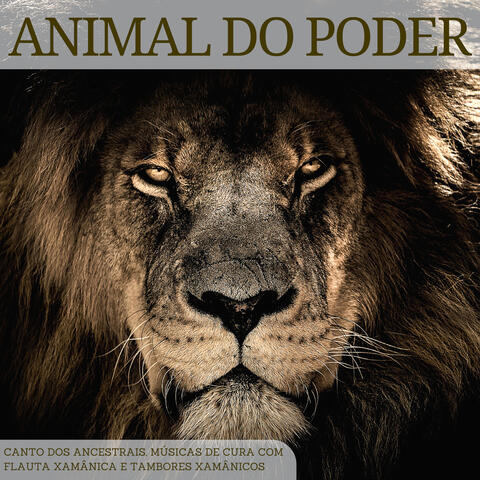 Animal do Poder: Canto dos Ancestrais, Músicas de Cura com Flauta Xamânica e Tambores Xamânicos