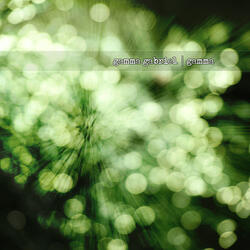 Photon