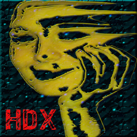 HDX 1