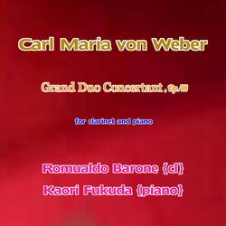 Grand Duo Concertant in E-Flat Major, Op. 48: II. Andante con moto